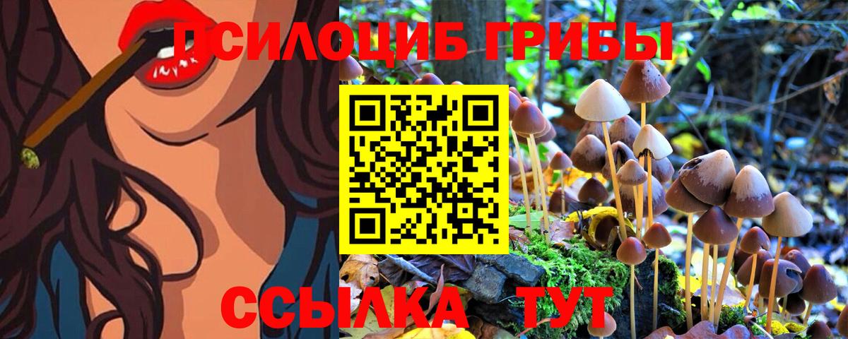 Псилоцибиновые грибы Psilocybine cubensis Грозный