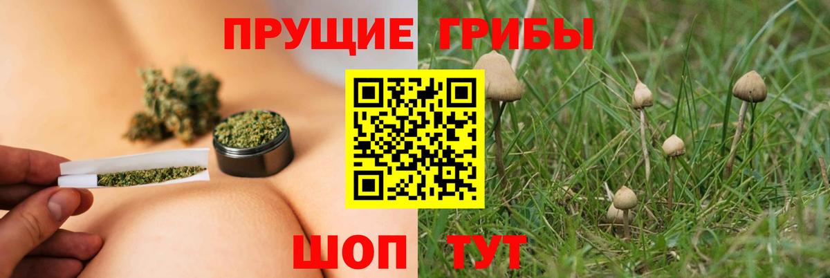 Галлюциногенные грибы мицелий  Псилоцибиновые грибы мухоморы  Вход с VPN  Грозный 