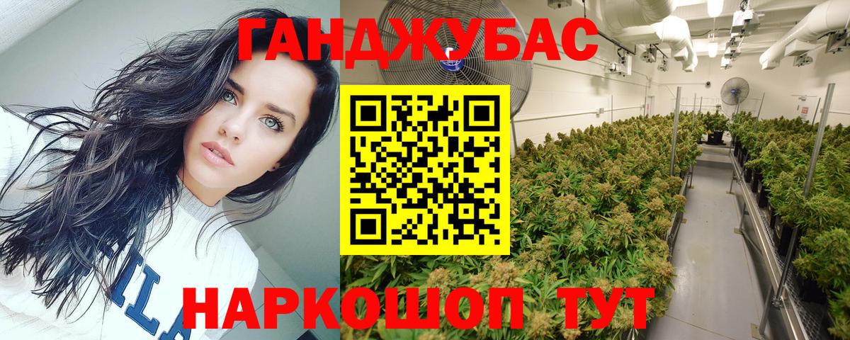 Бошки Шишки сатива  Вход с VPN  Канабис индика  Грозный  Канабис MAZAR 